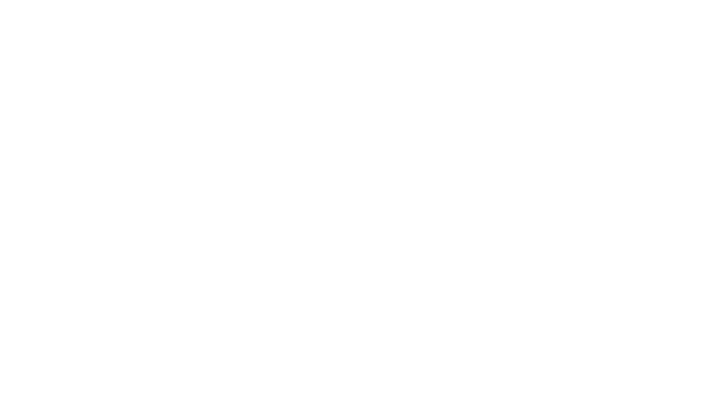 Logo-Porsche-nom-seul-1024x579